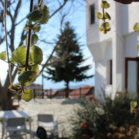 Castaneda 2 * Πορταριά